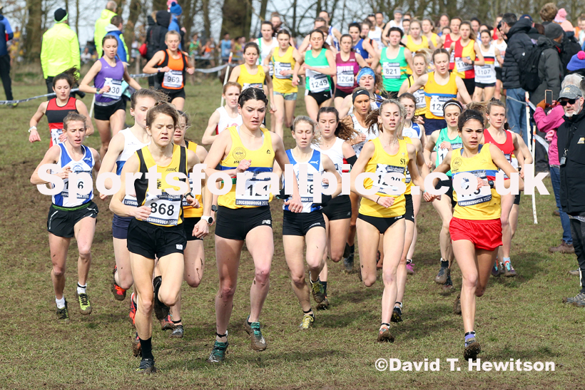Senior women, 2020 British Athletics Inter Counties Cross Country Champs., Prestwold Hall, Loughborough. Photo: David T. Hewitson/Sports for All Pics